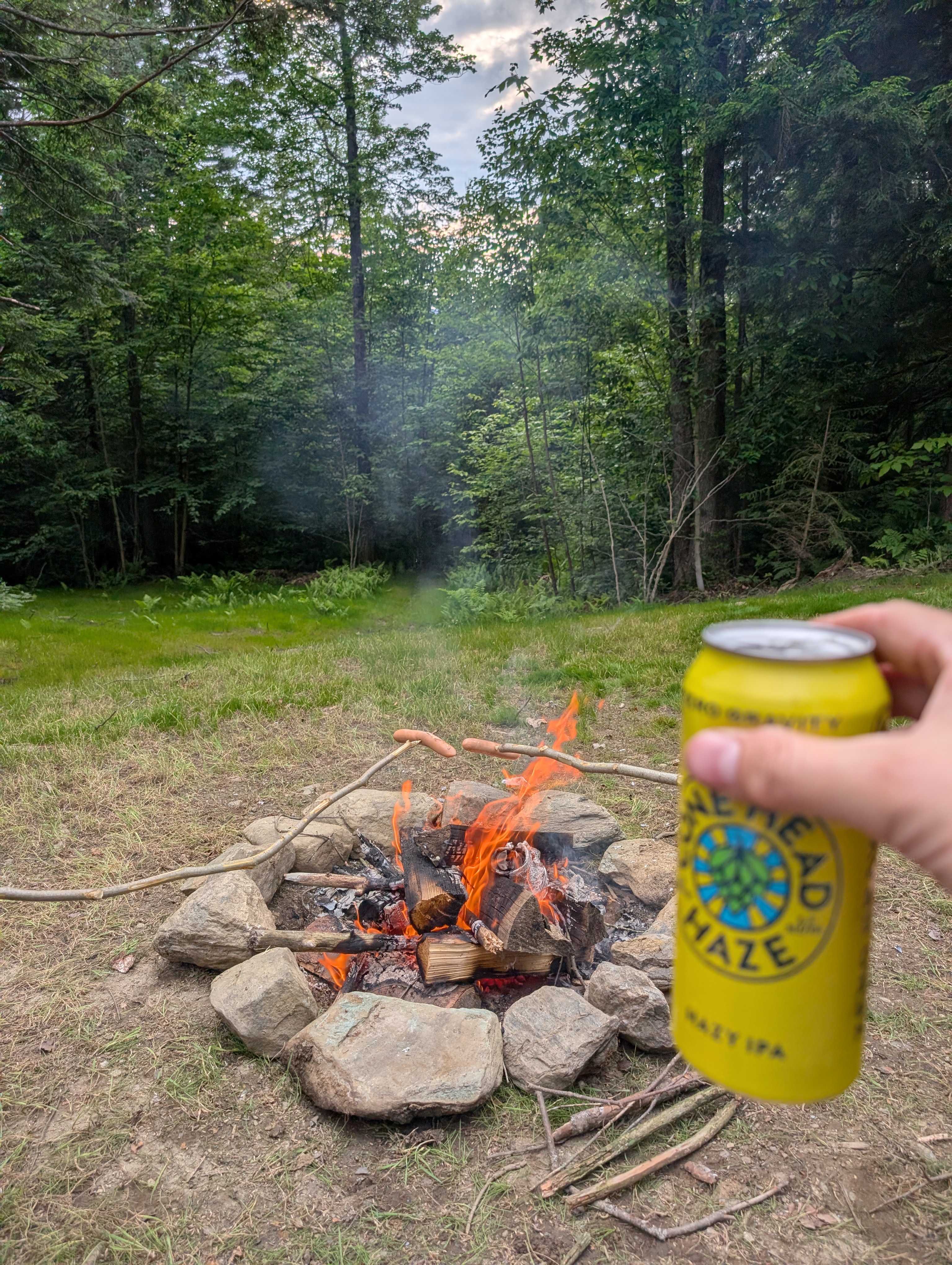 Relaxing fire pit surrounded by forest clearing