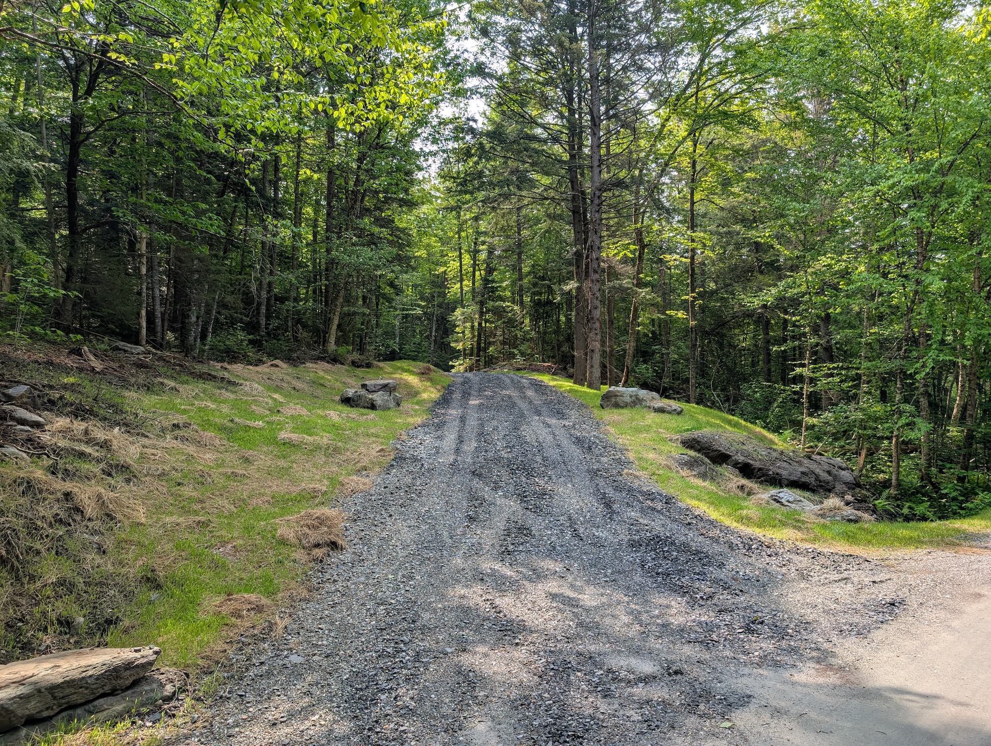 Gravel driveway entrance through the Vermont forest