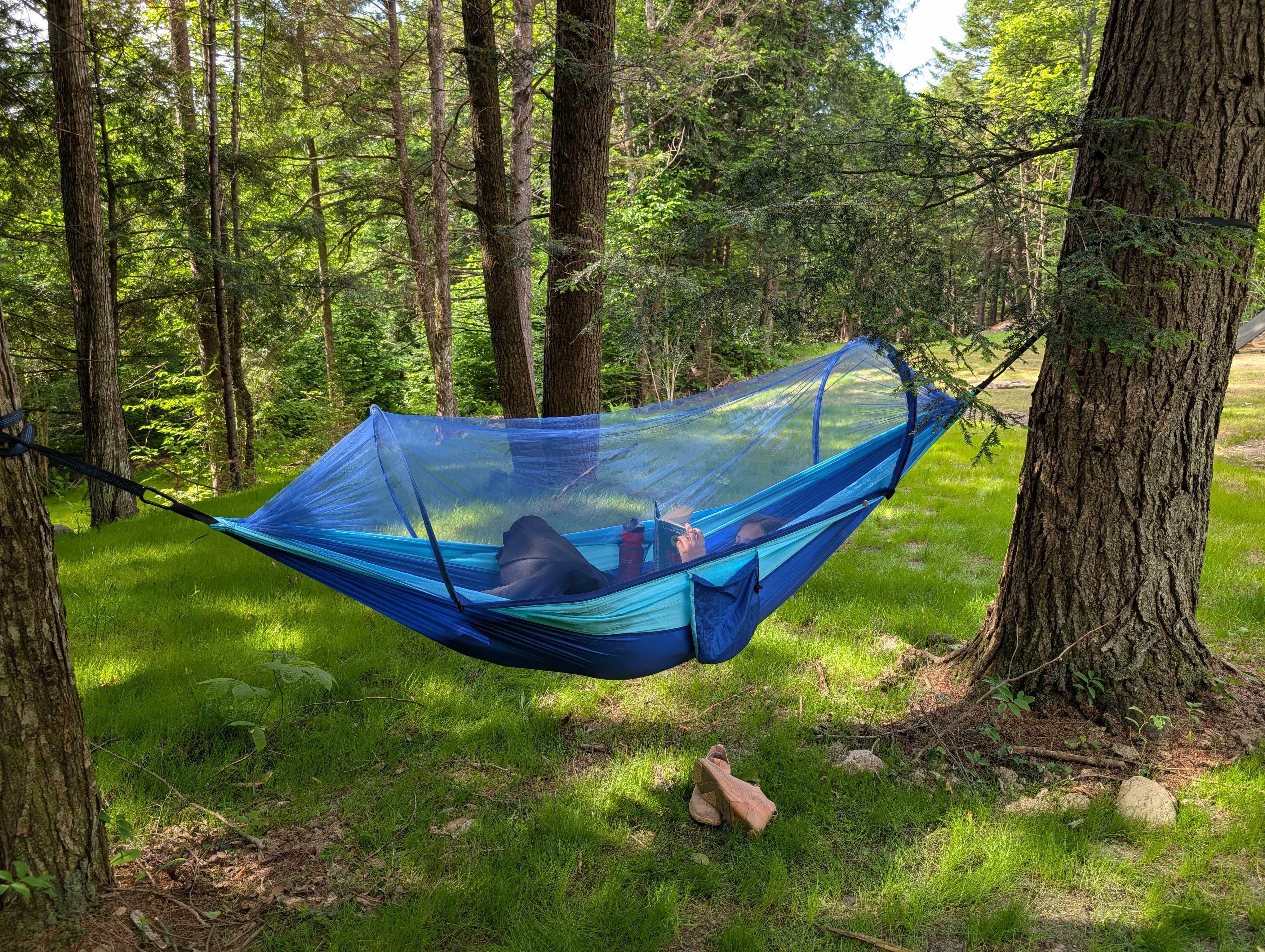 Blue hammock with mosquito net strung between trees